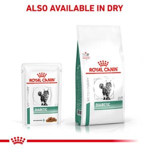 canin diabetic 85g